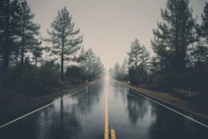 paved road on rainy day surrounded by forest